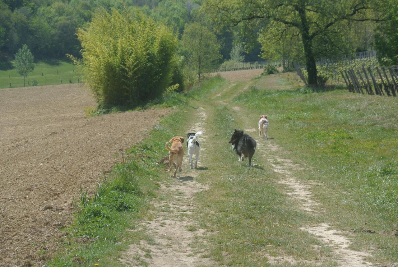 Viella Vacances Zewnętrze zdjęcie